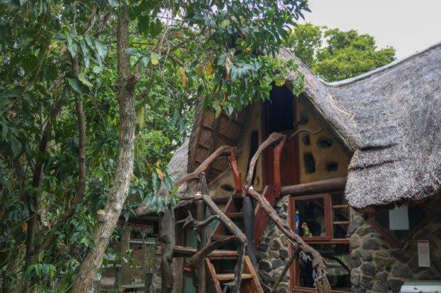 Yellowwood Forest Eco Retreat มอร์แกนส์เบย์ ภายนอก รูปภาพ
