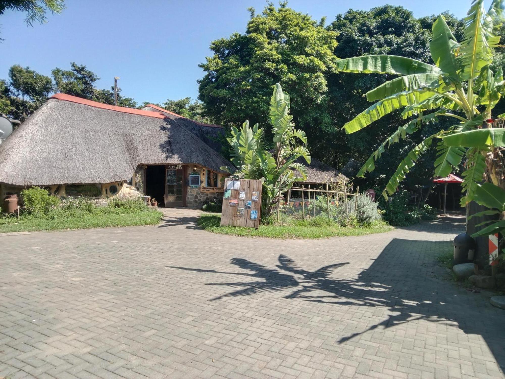 Yellowwood Forest Eco Retreat มอร์แกนส์เบย์ ภายนอก รูปภาพ